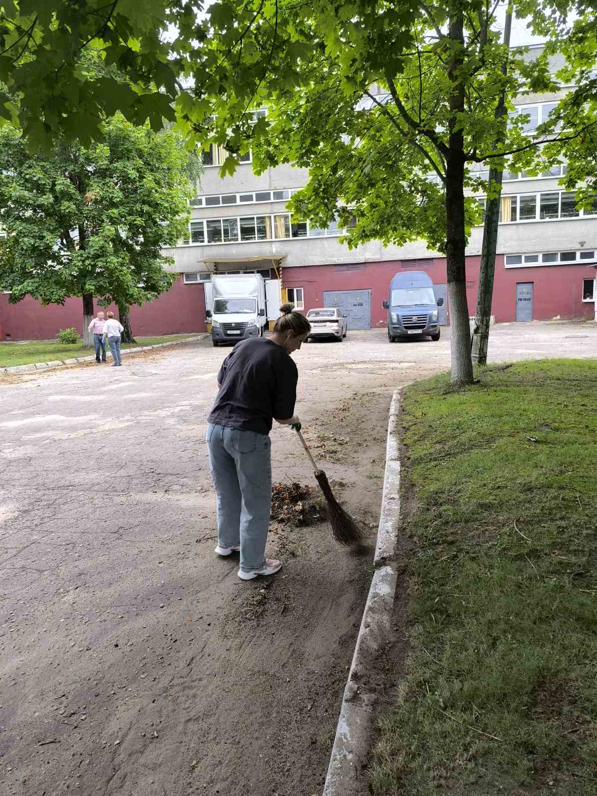 изображение viber 2025-08-08 16-14-35-647 c7a21