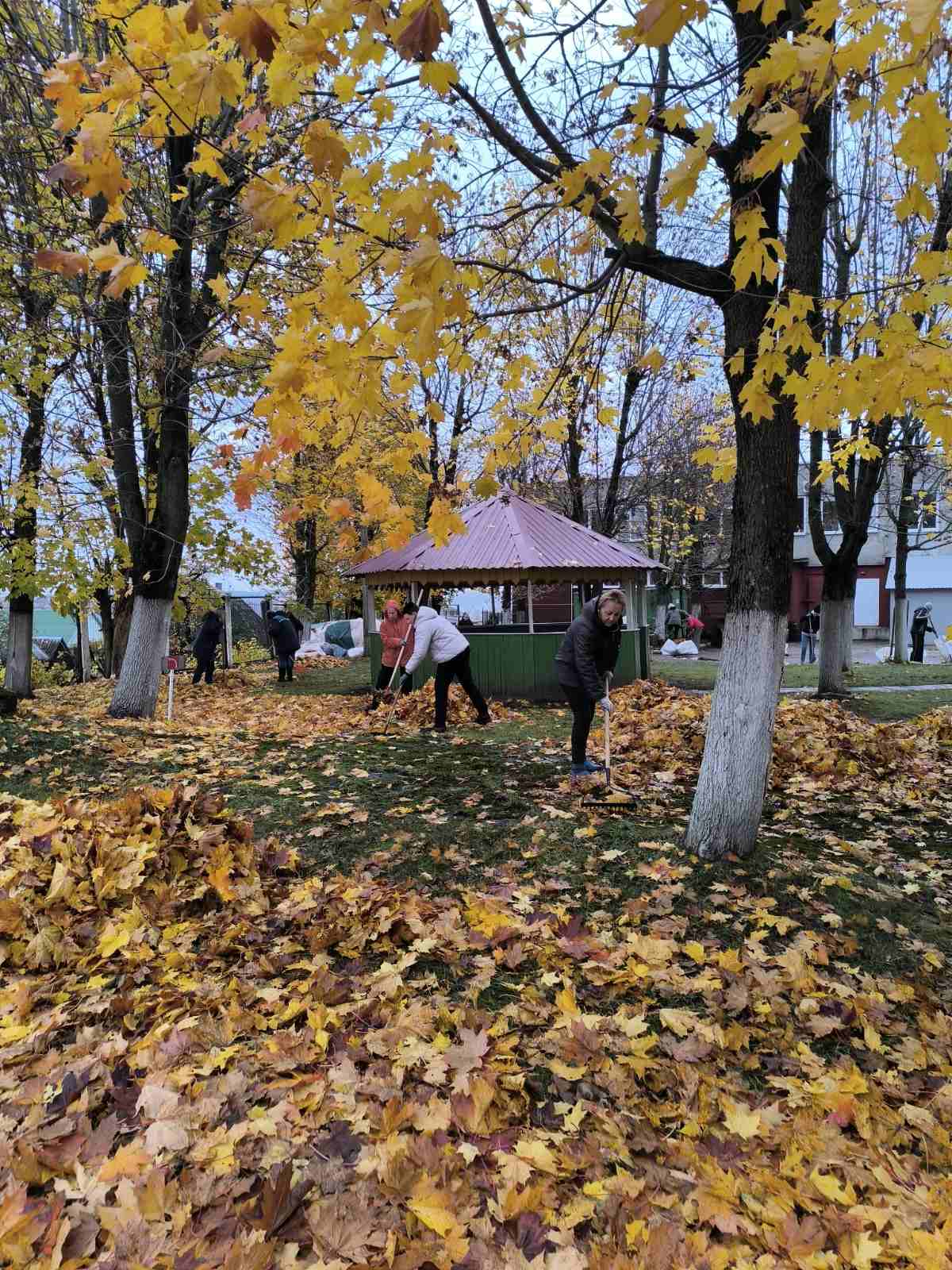 изображение viber 2025-10-28 10-23-31-108 ddd04