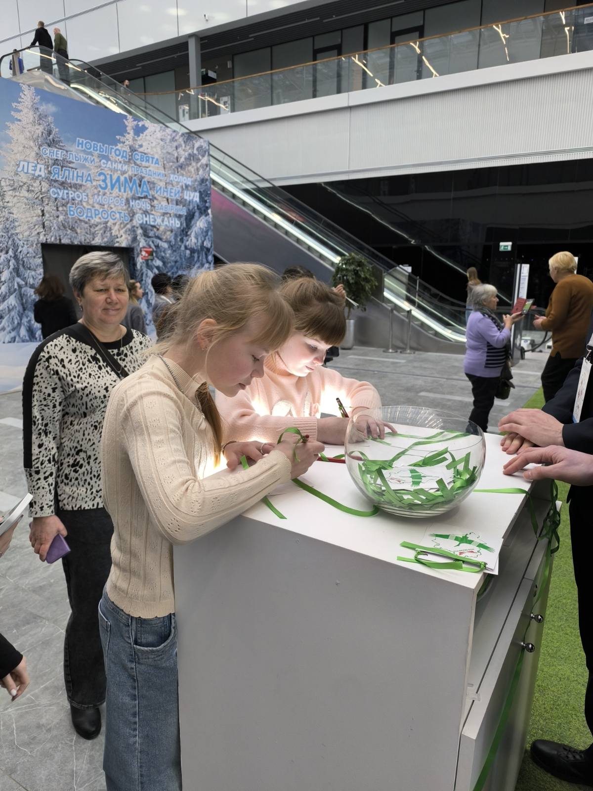 изображение viber 2026-02-03 13-35-54-227 0fff0